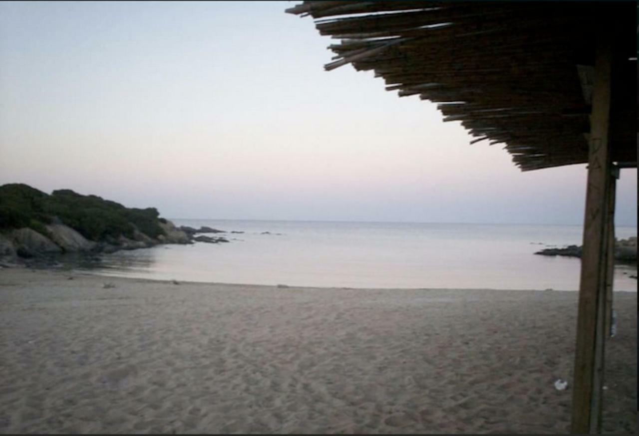 Graziosa Dependance Villa Stintino Buitenkant foto